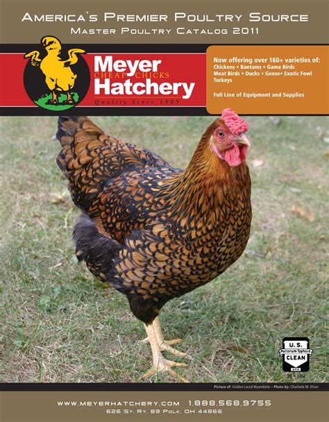 meyerhatchery|meyer hatchery catalog.